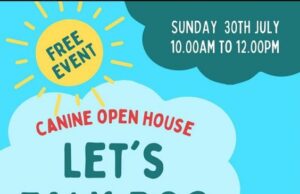 The Joy with pets in Bengaluru. A free event, Let’s talk Dogs