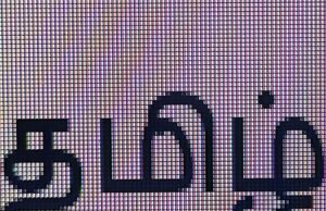 Invitation to Join Online Tamil Language Class from Your Home