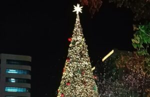 Phoenix Mall of Asia Presents Country’s first 100ft Tall Christmas Tree, European Market – Unleashing Festive Magic!