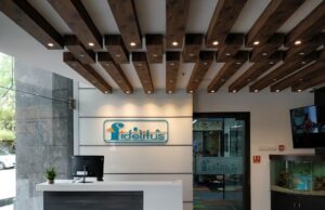 ದೇಶದ ಆರ್ಥಿಕ ಸಬಲೀಕರಣದಲ್ಲಿ ಮಹಿಳೆಯರ ಪಾತ್ರ ಅಪಾರ – ಅಚ್ಚುತ್ ಗೌಡಫಿಡಿಲಿಟಸ್ ಕಾರ್ಪ್ ವತಿಯಿಂದ ಸಂಭ್ರಮದ ವಿಶ್ವ ಮಹಿಳಾ ದಿನಾಚರಣೆ